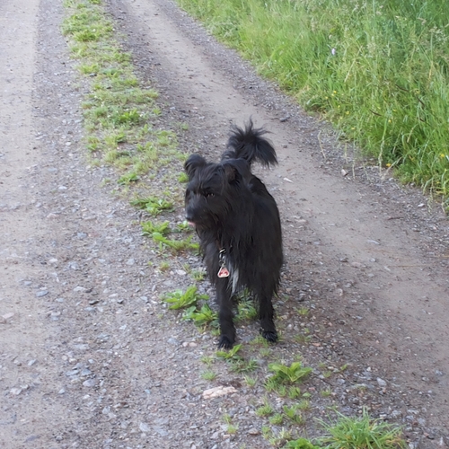 Urlaub im Schwarzwald (5)